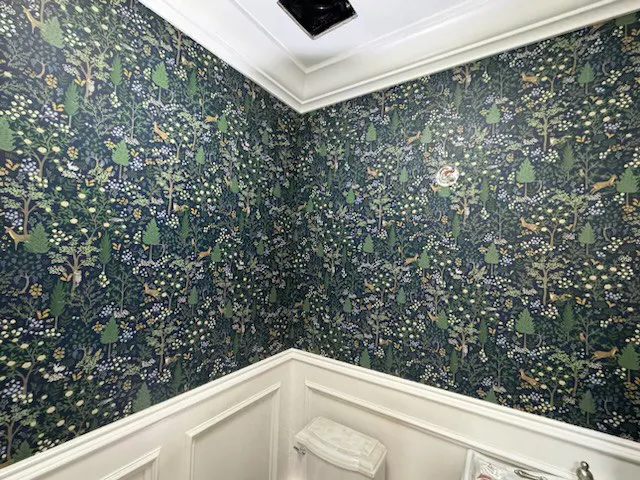Professional wallpaper removal in Century City, Los Angeles